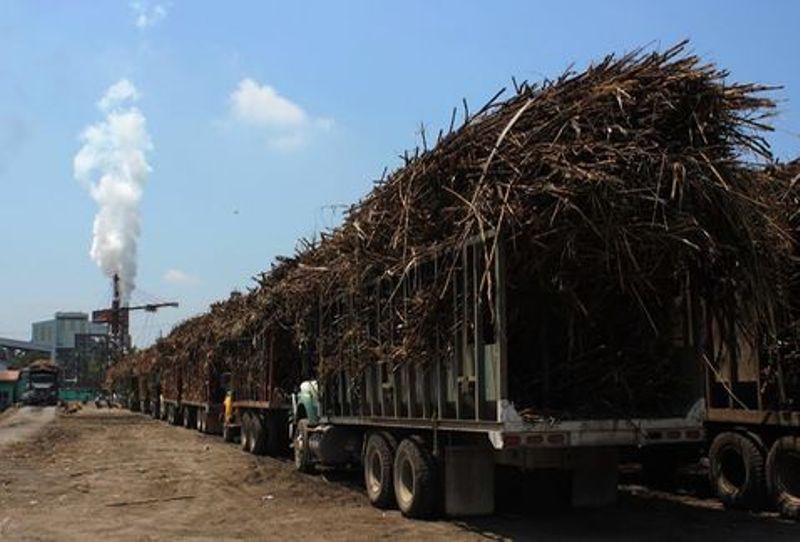 Suman más de 1 millón de toneladas de caña molida en zafra 2022 2023