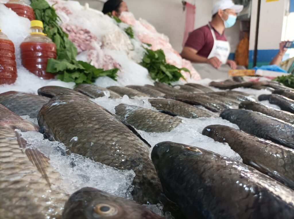 En Tuxtepec, supervisan que comercios vendan pescados y mariscos en buen  estado - Estado Actual